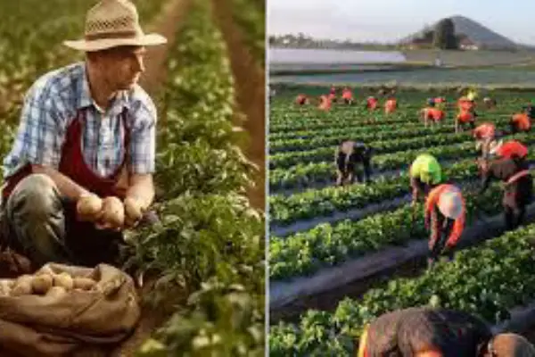 Agriculture