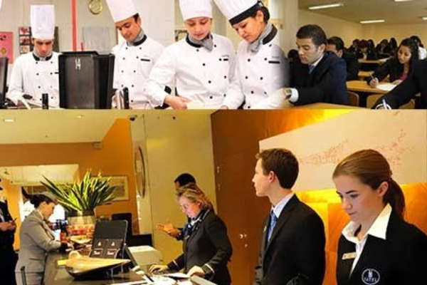 Hospitality and Tourism